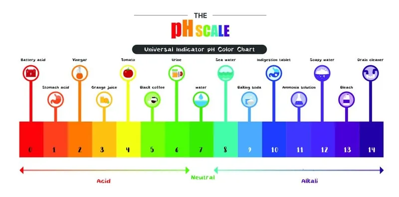 Douleur de la cystite interstitielle liée à une bonne alimentation ?